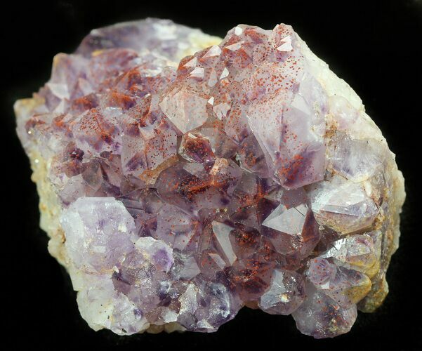 Thunder Bay Amethyst Cluster With Hematite #46303